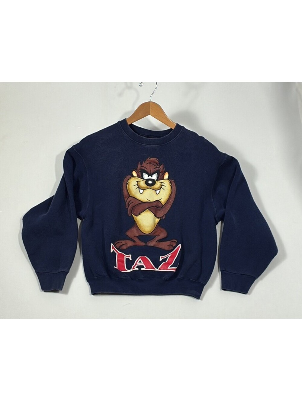 90s Warner Bros Taz Sweatshirt Looney Tunes Graphic